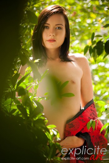 Explicite-Art.com high quality French porn